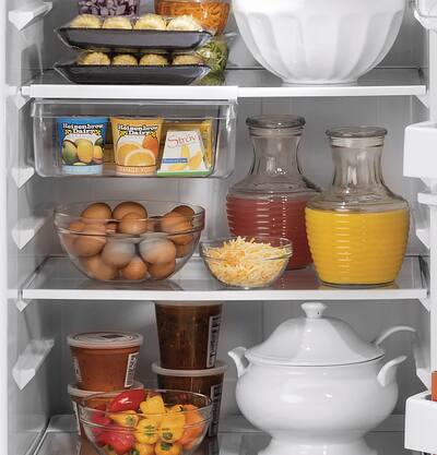 GE 19.2 Cu. Ft. Top Freezer Refrigerator with Garage Ready