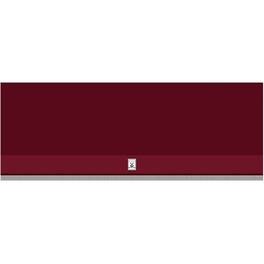 Hestan - 48 inches - Externally Vented - Under cabinet Range Hood - Tin Roof