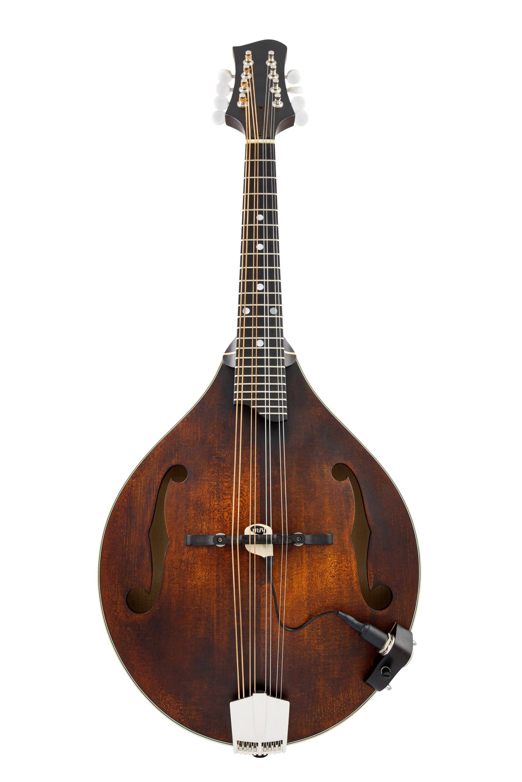 Sure, here is the corrected text:

"JU! add Doda"