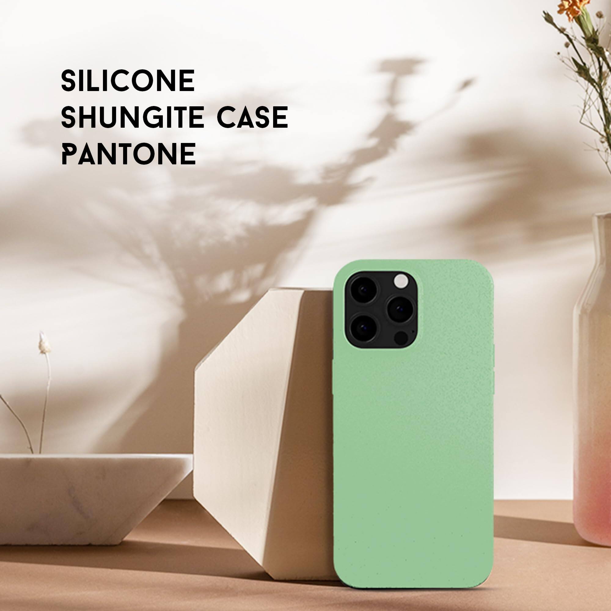 SILICONE SHUNGITE CASE PANTONE