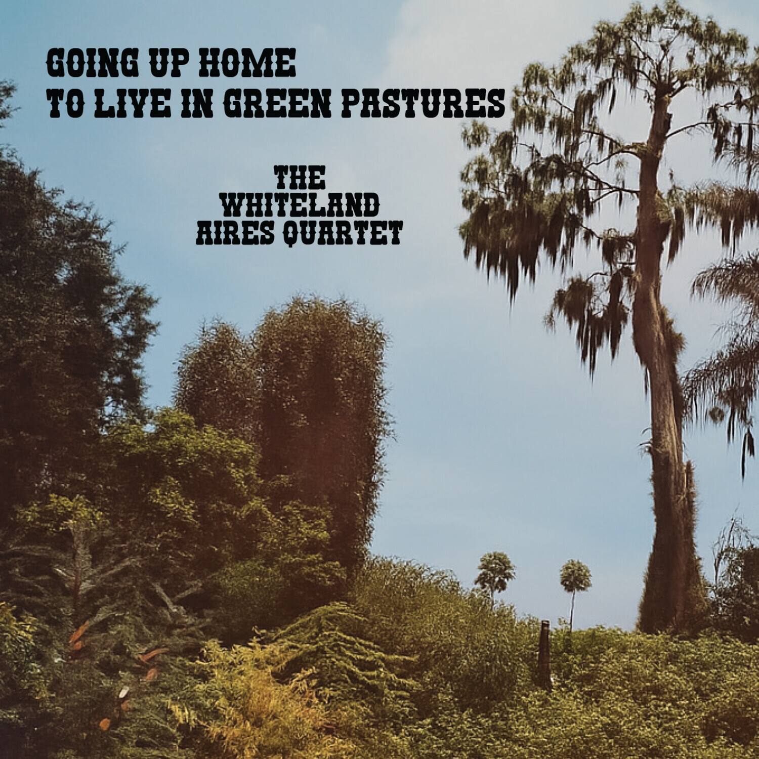 洋楽 White Covers to Landser CD Whiteland Aires Quartet Going Up Home to Live in Green Pastures