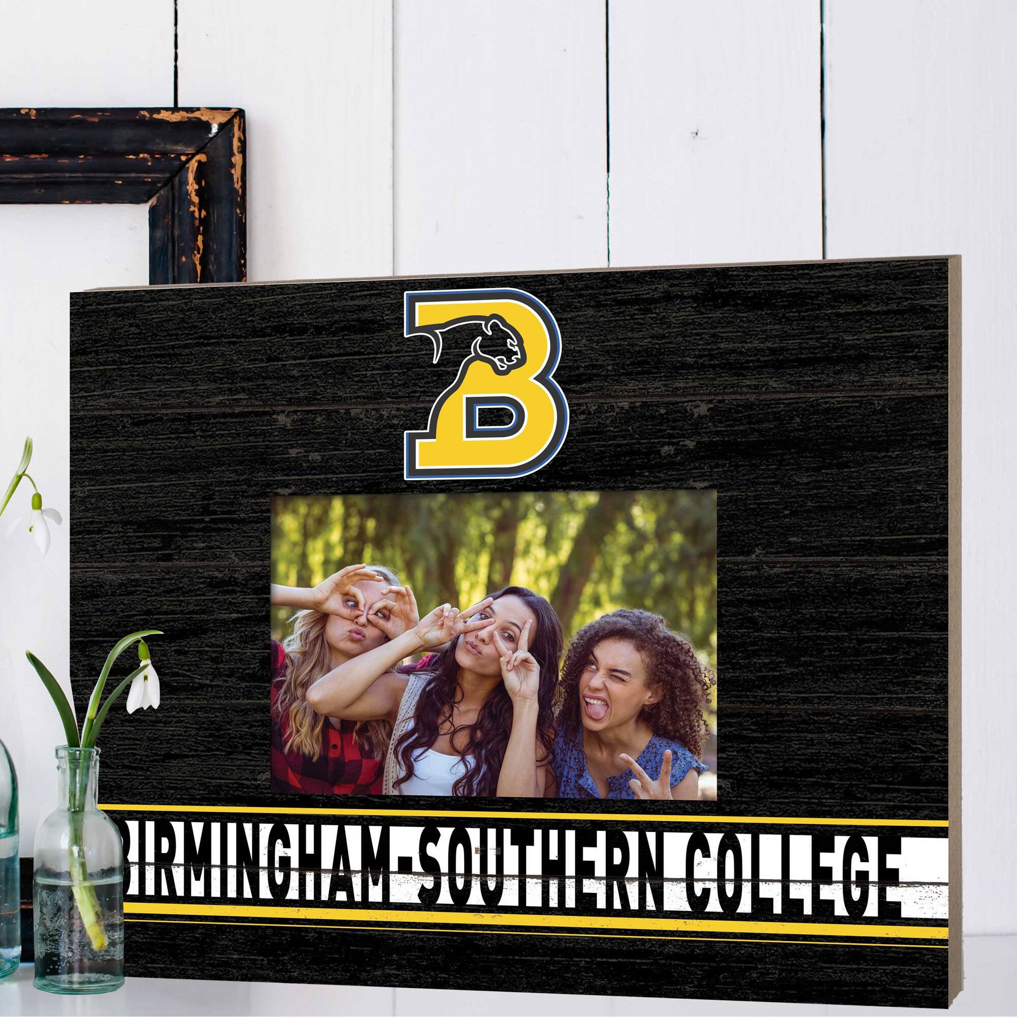 BIRMINGHAM SOUTHERN COLLEGE