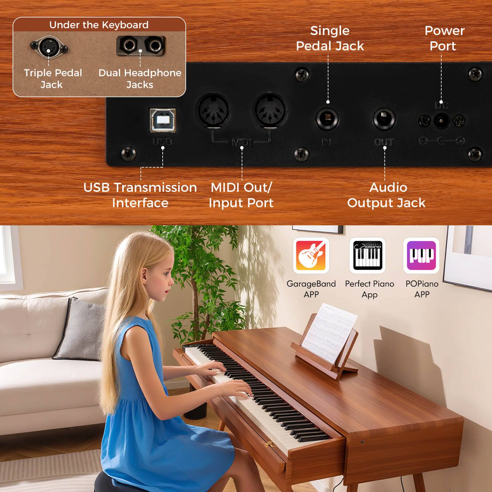 Under the Keyboard:
- Triple Pedal Jack
- Dual Headphone Jacks

USB Transmission Interface
MIDI Out/ Input Port
Audio Output Jack

Single Pedal Jack
Power Port

GarageBand App
Perfect Piano App
POPiano App