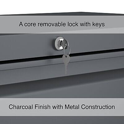 A core removable lock with keys  
Charcoal Finish with Metal Construction