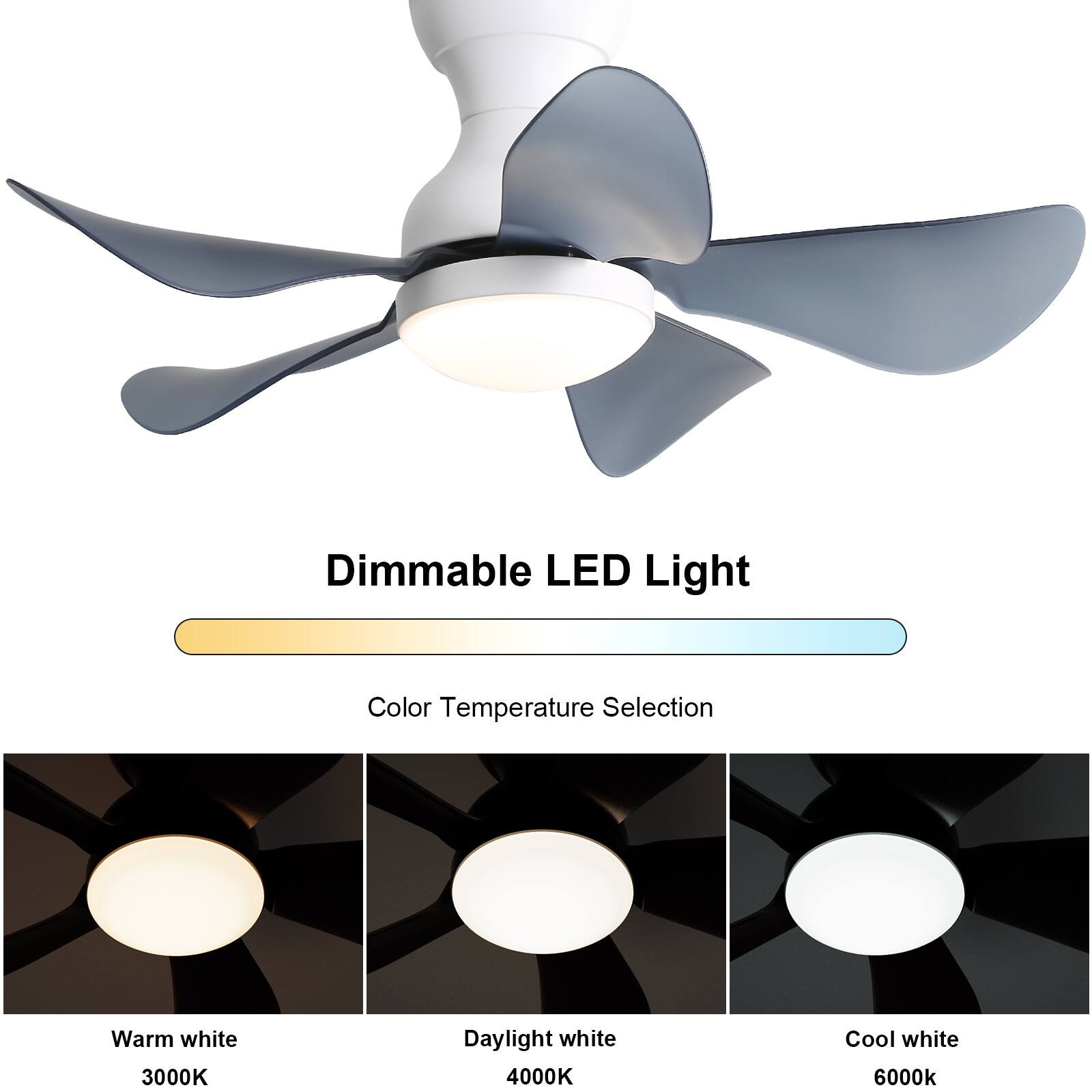 Dimmable LED Light

Color Temperature Selection

Warm white 3000K  
Daylight white 4000K  
Cool white 6000K
