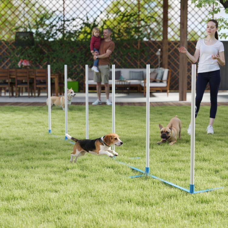 Alt View 2. PULUZ - Dog Agility Equipment Dog Weave Pole Set Agility Starter Kit Pet Outdoor Exercise Training Set - White.