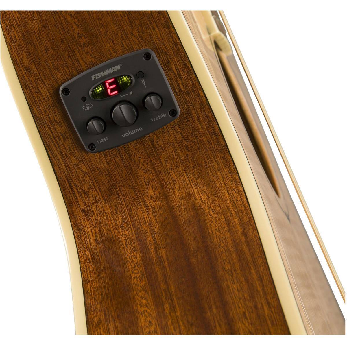 FISHMAN E treble volume bass