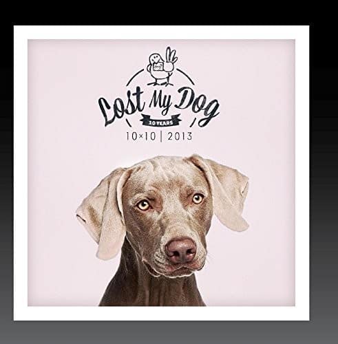 Various Artists - Lost My Dog 10x10 - 2013   - COMPACT DISCS [CD] price history on PriceWatchPro