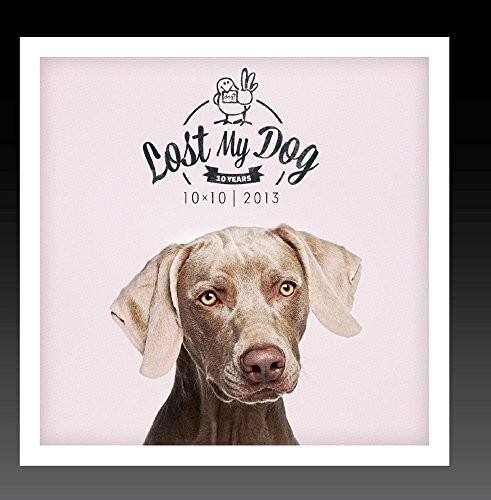 Lost My Dog  
10 YEARS  
10x10 x 2013