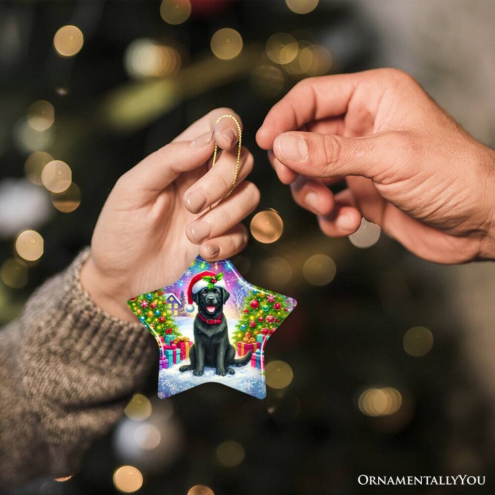 Alt View 1. OrnamentallyYou - Sparkling Yuletide Black Labrador Retriever Ornament Joyful Christmas Gift Star Version - Multi-colored.