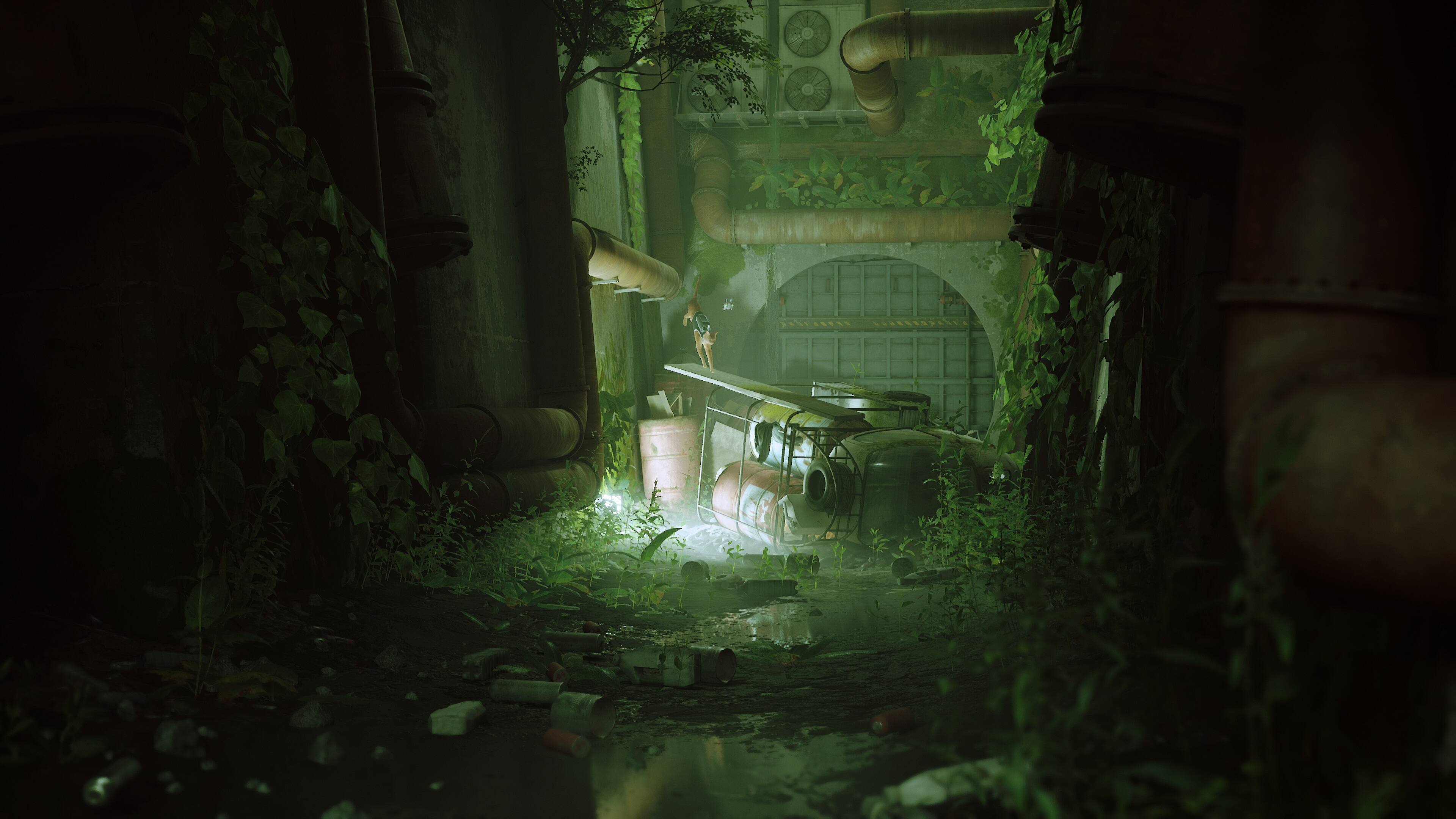 Back. Skybound - Stray.