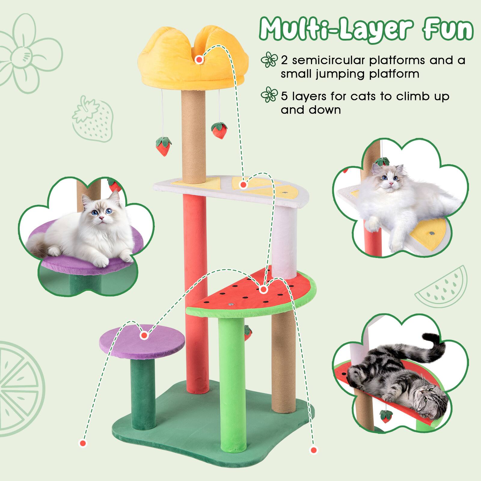 Multi-Layer Fun

- 2 semicircular platforms and a small jumping platform
- 5 layers for cats to climb up and down