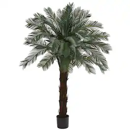 BreeBe - 6' Cycas Tree UV Resistant (Indoor/Outdoor) - Green