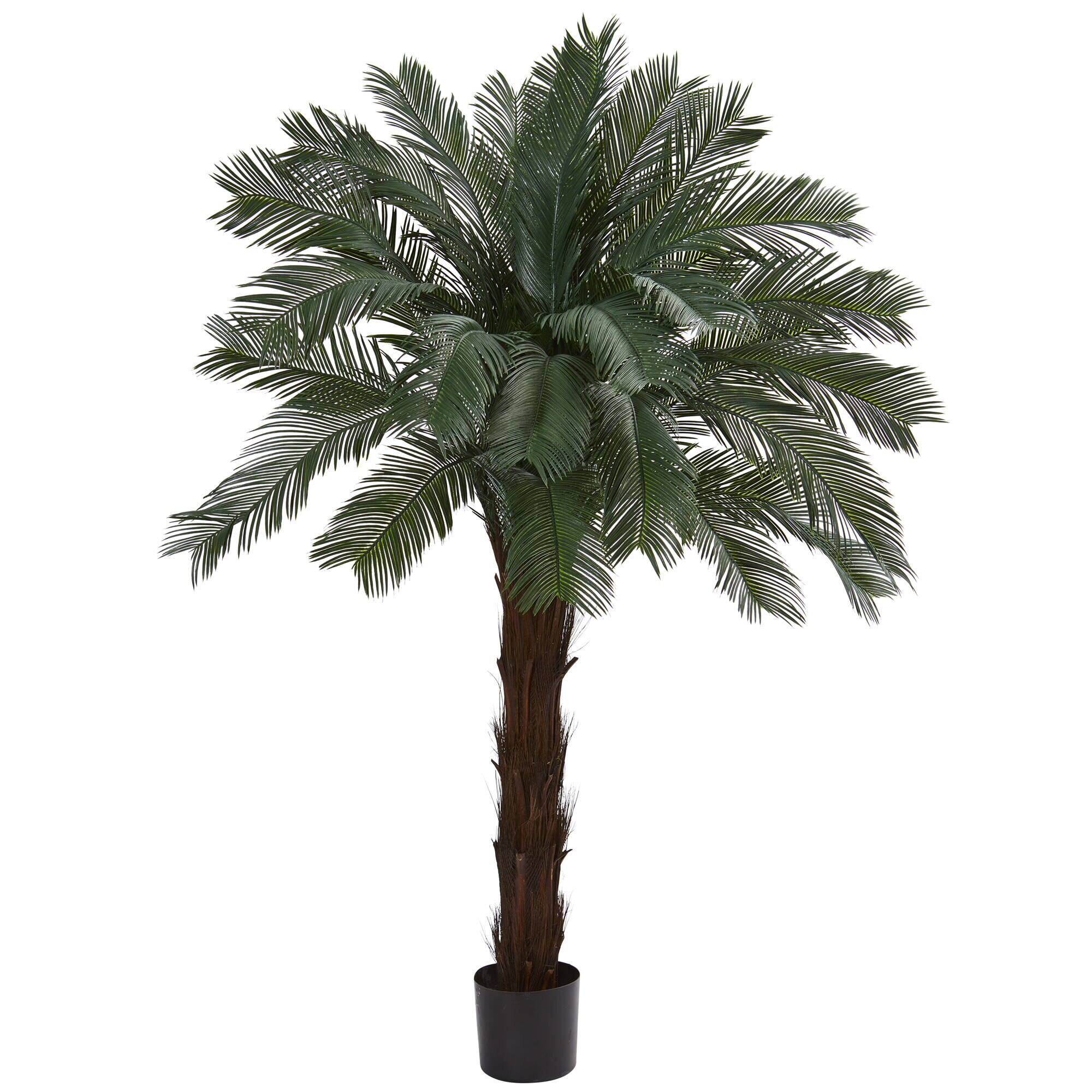 Front. BreeBe - 6' Cycas Tree UV Resistant (Indoor/Outdoor) - Green.
