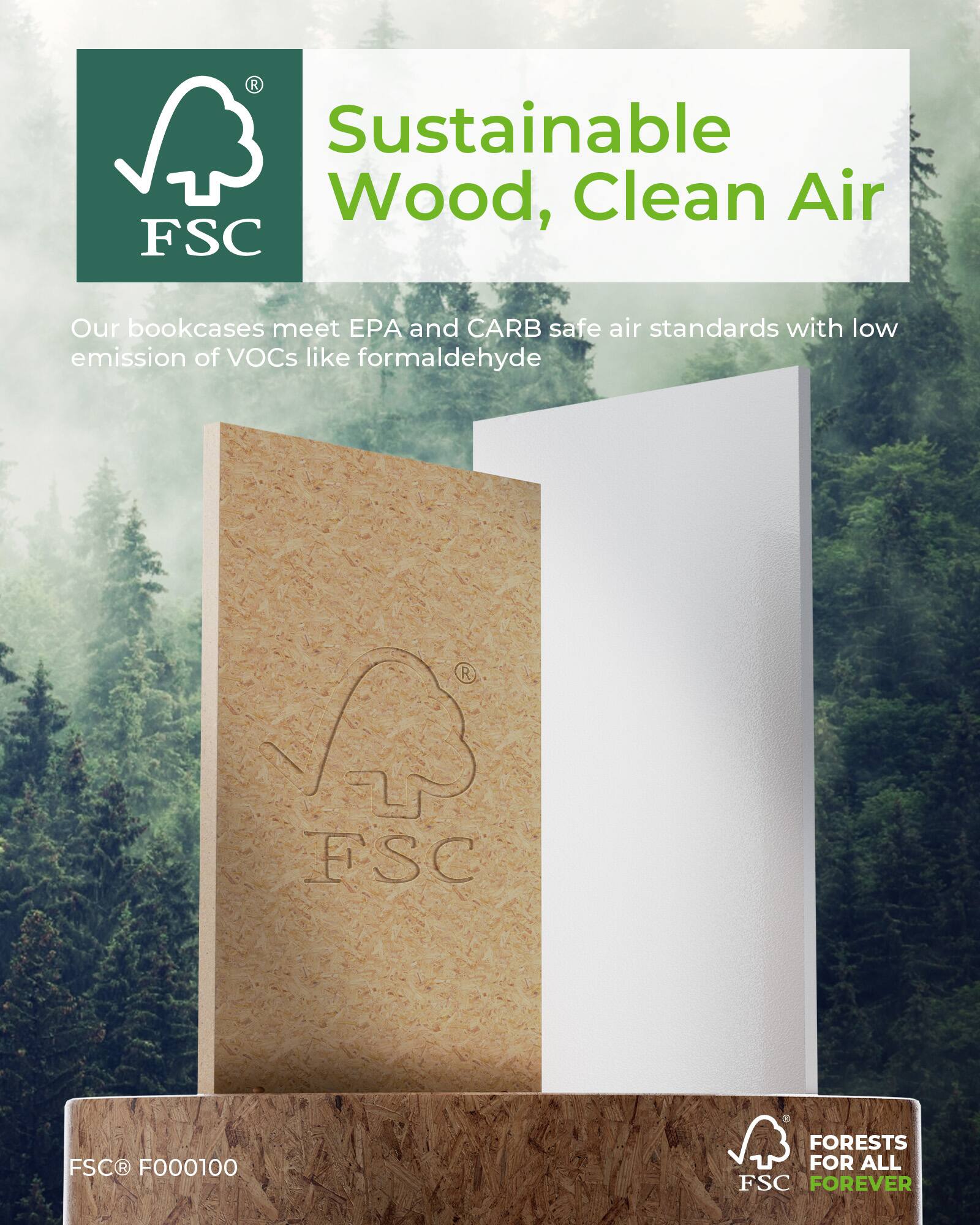 Sustainable Wood, Clean Air

Our bookcases meet EPA and CARB safe air standards with low emission of VOCs like formaldehyde

FSC® F000100

FORESTS FOR ALL FOREVER