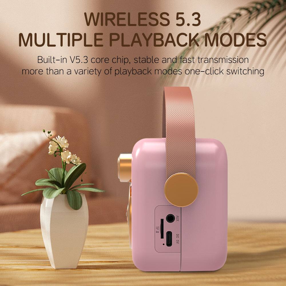 WIRELESS 5.3  
MULTIPLE PLAYBACK MODES  

Built-in V5.3 core chip, stable and fast transmission more than a variety of playback modes one-click switching  

TF AUX DC 5V