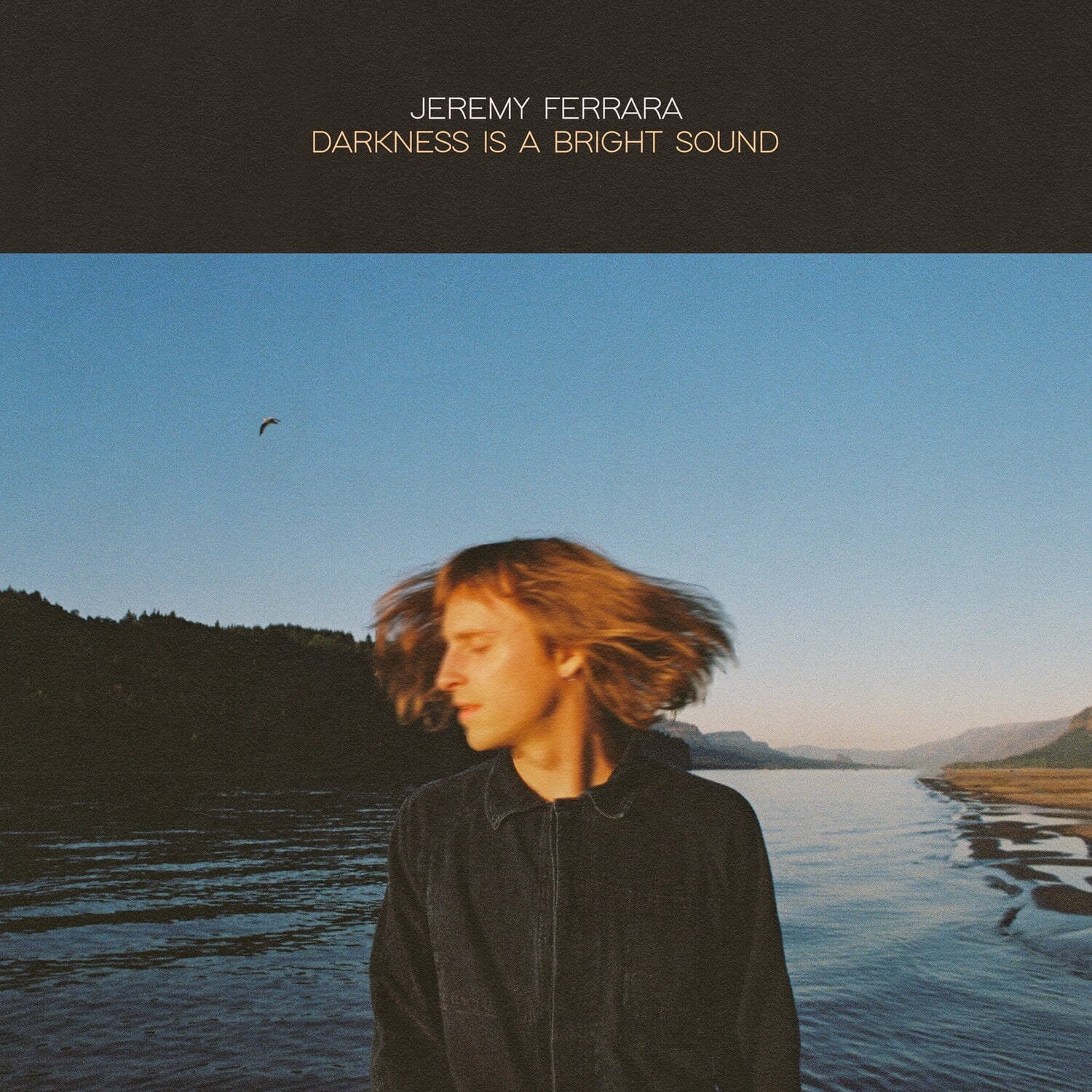 Jeremy Ferrara - Darkness Is a Bright Sound   - COMPACT DISCS [CD] price history on PriceWatchPro