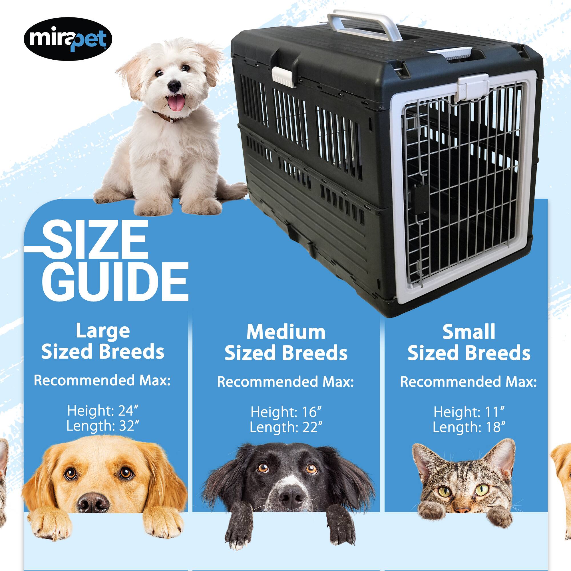 mirapet SIZE GUIDE

Large Sized Breeds
Recommended Max:
Height: 24"
Length: 32"

Medium Sized Breeds
Recommended Max:
Height: 16"
Length: 22"

Small Sized Breeds
Recommended Max:
Height: 11"
Length: 18"