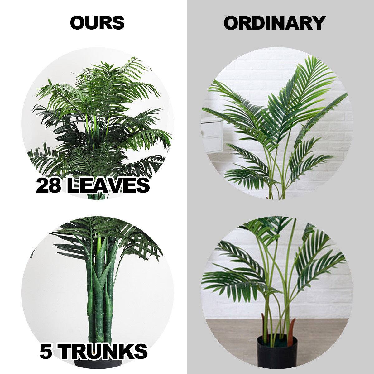 The corrected text from the image is:

- "OURS"
- "ORDINARY"
- "28 LEAVES"
- "5 TRUNKS"