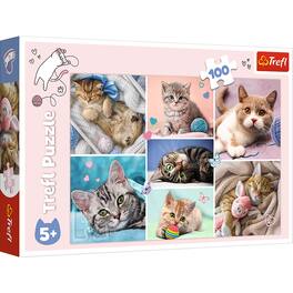 Trefl - Red 100 Piece Kids Puzzle - In the cat world