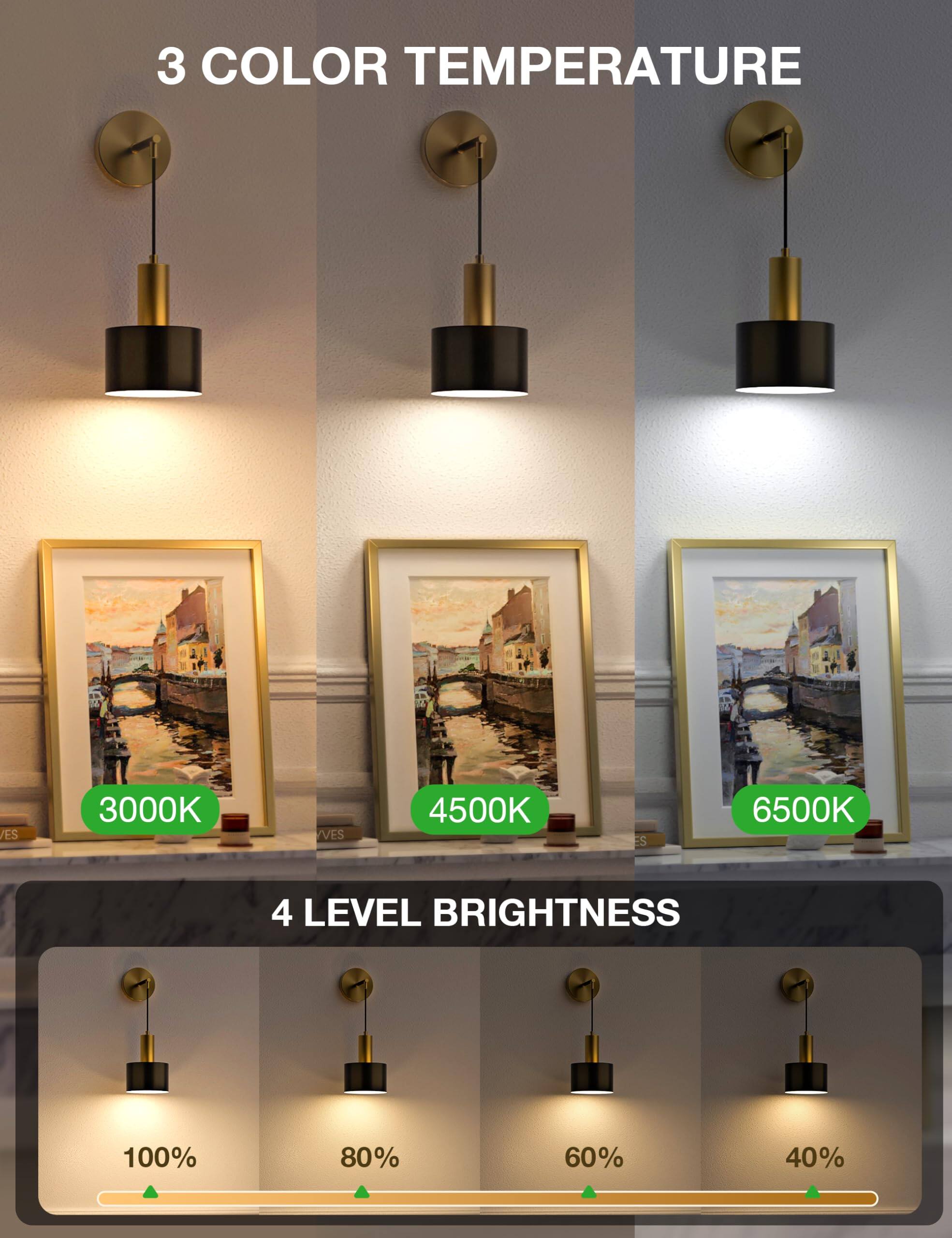 3 COLOR TEMPERATURE  
3000K 4500K 6500K  

4 LEVEL BRIGHTNESS  
100% 80% 60% 40%