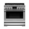 Fisher & Paykel - Professional 4.8 Cu. Ft. Freestanding Dual Fuel True Convection Range with Self-Cleaning - Stainless Steel/Black Glass