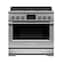 Fisher & Paykel - Professional 4.8 Cu. Ft. Freestanding Dual Fuel True Convection Range with Self-Cleaning - Stainless Steel/Black Glass