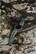 Alt View 20. Amazfit - T-Rex Smartwatch 44mm Polymer - Army Green.