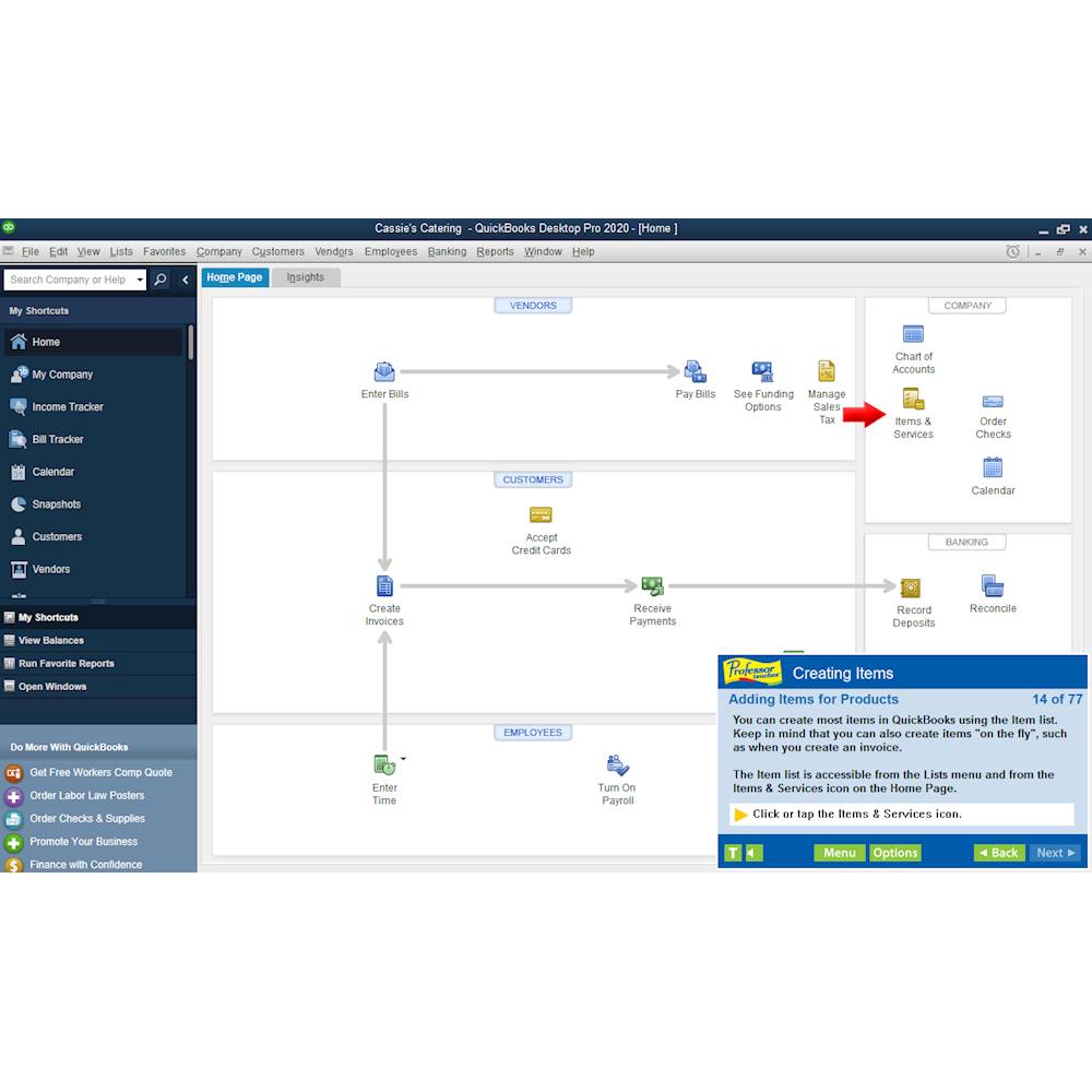 Best Buy: Individual Software Professor Teaches QuickBooks 2020 Windows ...