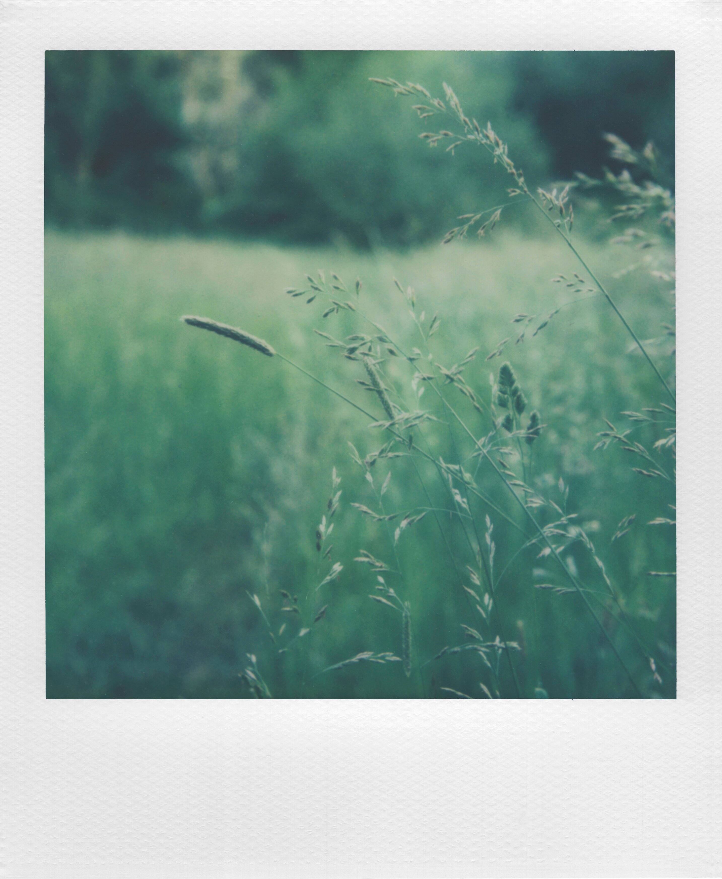 Alt View 13. Polaroid - i-Type Color Film - White.