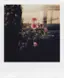 Alt View 14. Polaroid - i-Type Color Film - White.