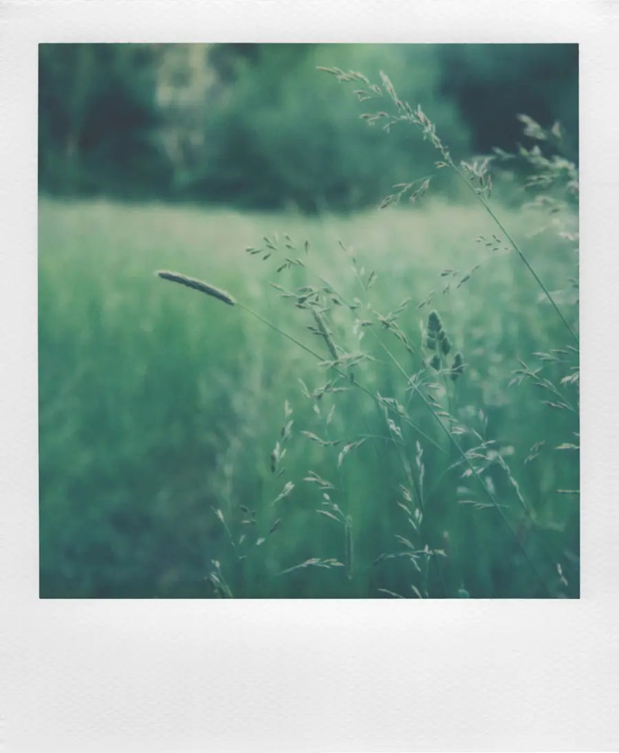 Alt View 16. Polaroid - i-Type Color Film - White.