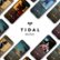 Front Zoom. TIDAL - HiFi, 3-Month Music Subscription starting at purchase, Auto-renews at $9.99 per month [Digital].
