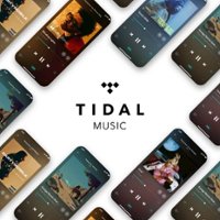 TIDAL - HiFi, 12-Month Music Subscription starting at purchase, Auto-renews at $79.99 per year [Digital] - Front_Zoom