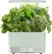 Front Zoom. AeroGarden - Harvest - Indoor Garden - Easy Setup - 6 Gourmet Herb pods included - Sage.