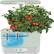 Alt View 12. AeroGarden - Harvest - Indoor Garden - Easy Setup - 6 Gourmet Herb pods included - Sage.