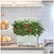 Alt View Zoom 13. AeroGarden - Harvest - Indoor Garden - Easy Setup - 6 Gourmet Herb pods included - Sage.