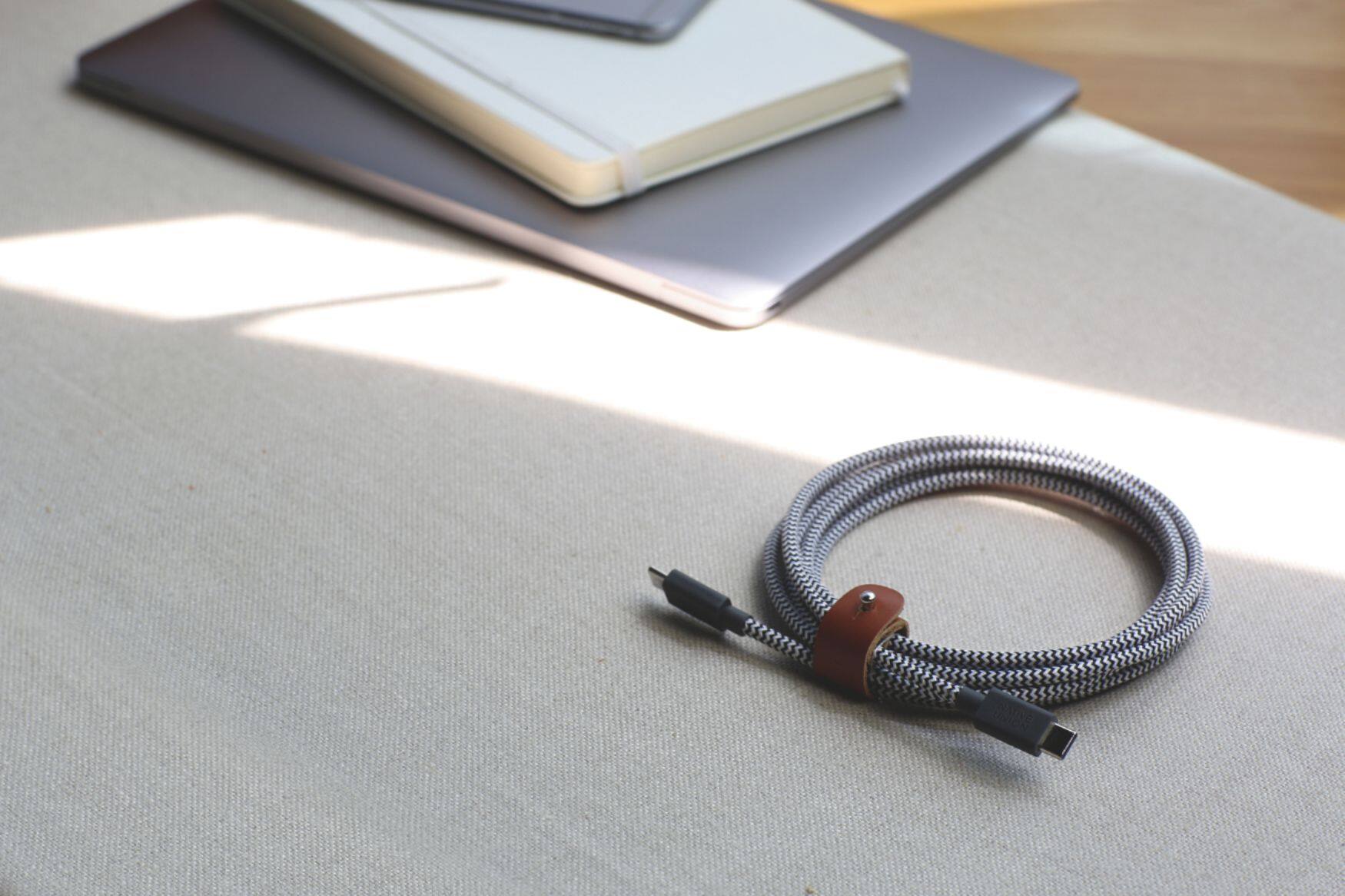 Alt View 13. Native Union - Fast Charging USB-C Cable - Black/White.