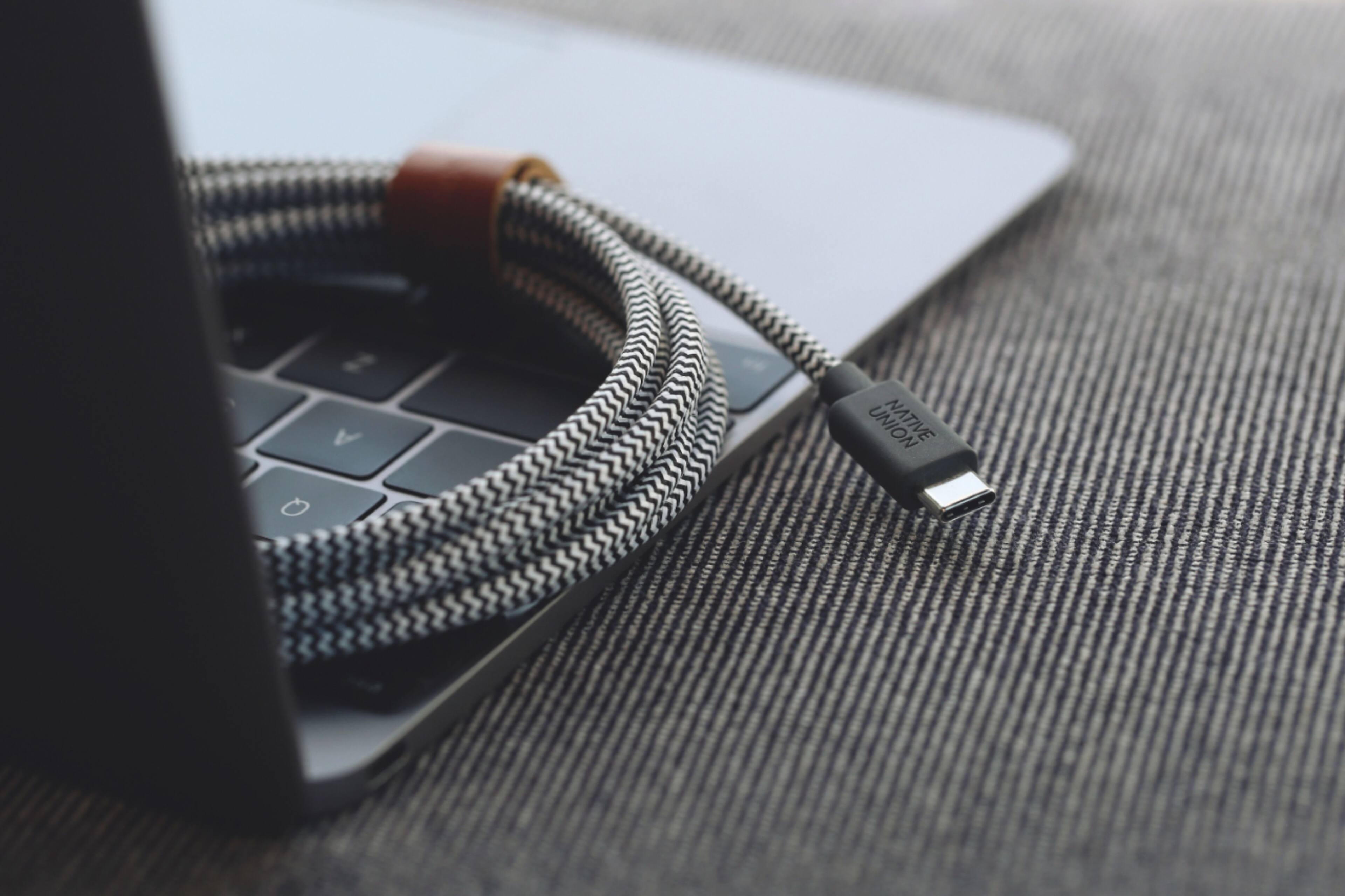 Alt View 16. Native Union - Fast Charging USB-C Cable - Black/White.
