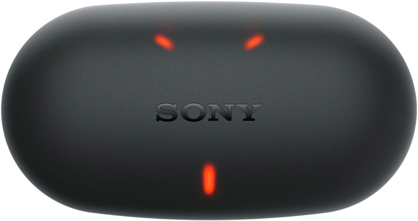 Best Buy: Sony WF-XB700 True Wireless In-ear Headphones Black 