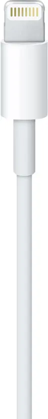 Apple - 3.3 Foot Lightning to USB Cable - White
