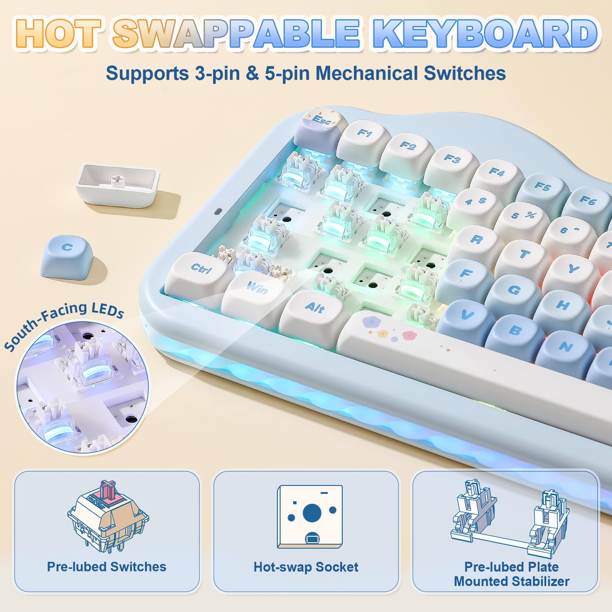 HOT SWAPPABLE KEYBOARD  
Supports 3-pin & 5-pin Mechanical Switches  

- South-Facing LEDs  
- Pre-lubed Switches  
- Hot-swap Socket  
- Pre-lubed Plate Mounted Stabilizer  

Ctrl Win Esc Alt F1 F2 F3 F4 F5 F6  
5 % 6 R 7 T F Y G H V B N