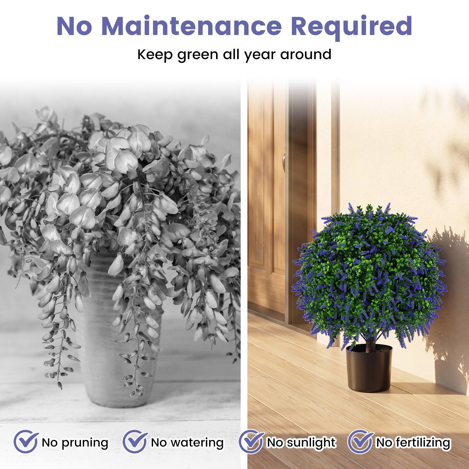 No Maintenance Required  
Keep green all year around

No pruning  
No watering  
No sunlight  
No fertilizing