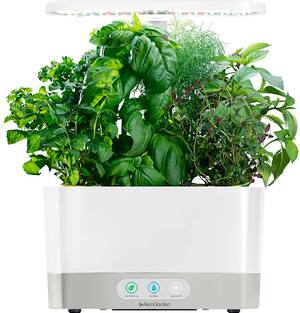 AeroGarden - Harvest - Indoor Garden - Easy Setup - 6 Gourmet Herb pods included - White