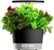 Front Zoom. AeroGarden - Harvest 360 with Gourmet Herb Seed Pod Kit - Hydroponic Indoor Garden - Black.