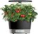 Alt View Zoom 11. AeroGarden - Harvest 360 with Gourmet Herb Seed Pod Kit - Hydroponic Indoor Garden - Black.