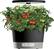 Alt View 11. AeroGarden - Harvest 360 with Gourmet Herb Seed Pod Kit - Hydroponic Indoor Garden - Black.
