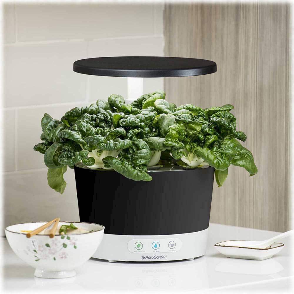 Alt View 14. AeroGarden - Harvest 360 with Gourmet Herb Seed Pod Kit - Hydroponic Indoor Garden - Black.