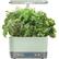 Front. AeroGarden - Harvest Elite – Indoor Garden - Easy Setup - 6 Gourmet Herb pods included - Sage Green.