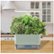 Alt View Zoom 12. AeroGarden - Harvest Elite – Indoor Garden - Easy Setup - 6 Gourmet Herb pods included - Sage Green.
